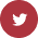 Twitter Icon